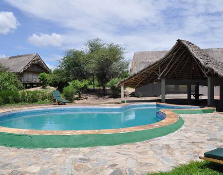 Pool området op Roika Tented Camp, Tanzania 1 africa tours
