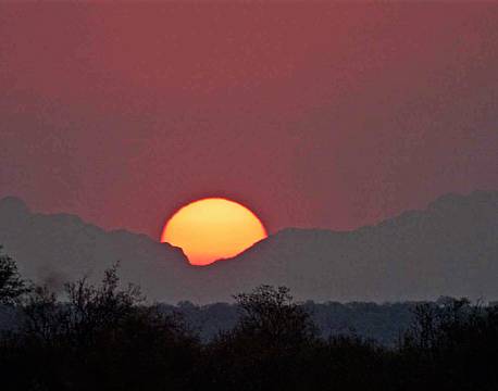 Balule Nature Reserve sydafrika africa tours