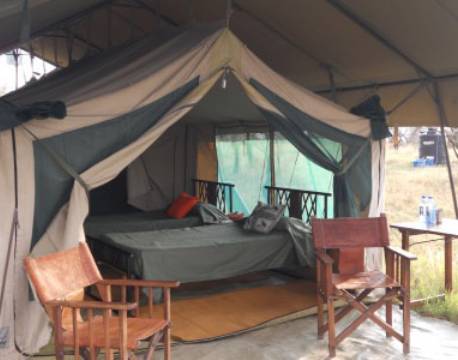 Standard telt Serengeti Kati Kati Tented Camp, Tanzania