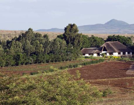Ngorongoro Farm House set fra afstand, Ngorongoro Krateret, Tanzania 7 africa tours