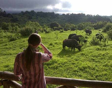 Fantastiske udsigter omkring hele Rhino Lodge, Ngorongoro Krateret, Tanzania 5 africa tours