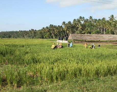 Zanzibar Tanzania indiske ocean africa tours