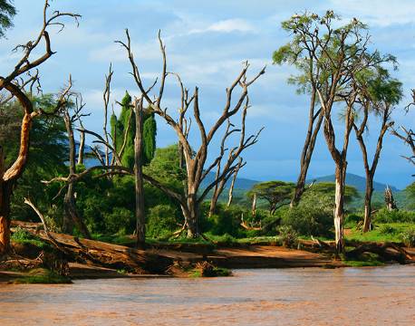 Samburu kenya africa tours