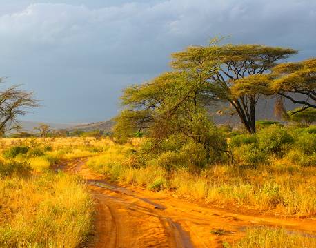Samburu kenya africa tours