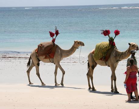 Mombasa Kenya indiske ocean africa tours
