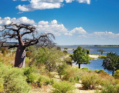 Udsigt over det smukke landskab ved Chobe floden botswana africa tours