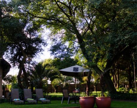 Safari Club johanneburg Sydafrika 3 africa tours