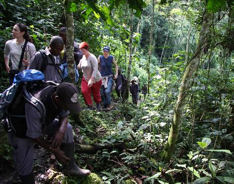 Bwindi Uganda africa tours