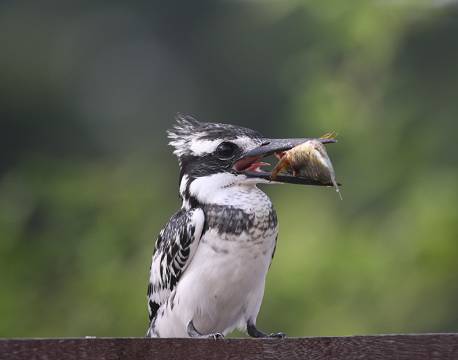 Lake Mburu Uganda africa tours