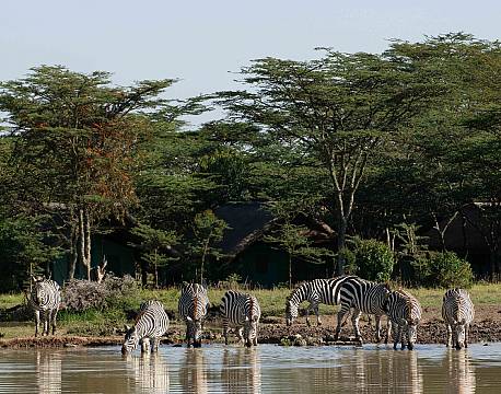 Sweetwaters kenya africa tours