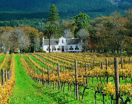 Cape Town Sydafrika africa tours