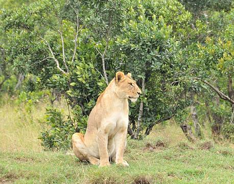 Sweetwaters kenya africa tours