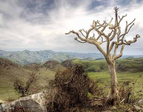 Udsigt over Swaziland sydafrika africa tours