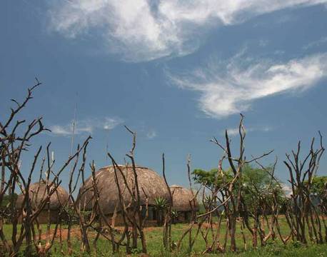 Hytter i Swaziland sydafrika africa tours