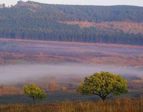 Swaziland ved daggry sydafrika africa tours