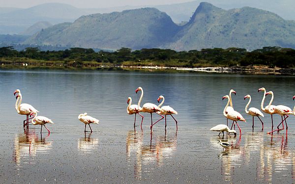 Fra rejseleder Geoffrey p Kenya Drmme Safari 17.09.2018