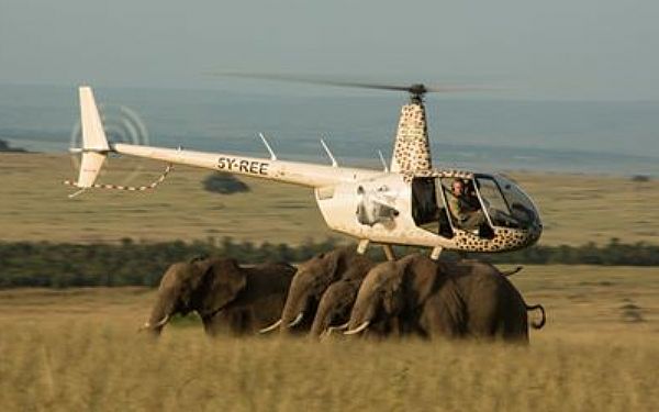 Hvad er Mara Elephant Project?