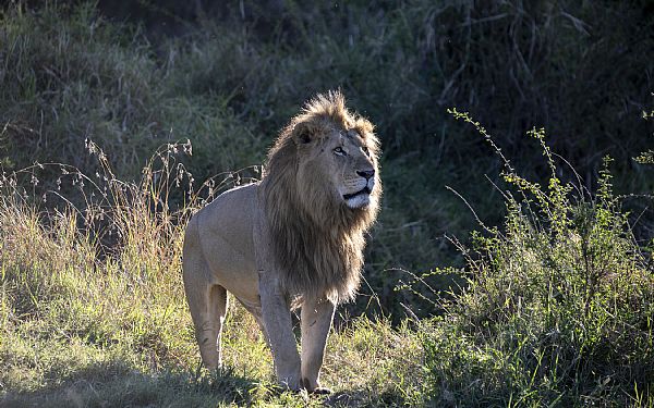 En perlerkke af oplevelser......