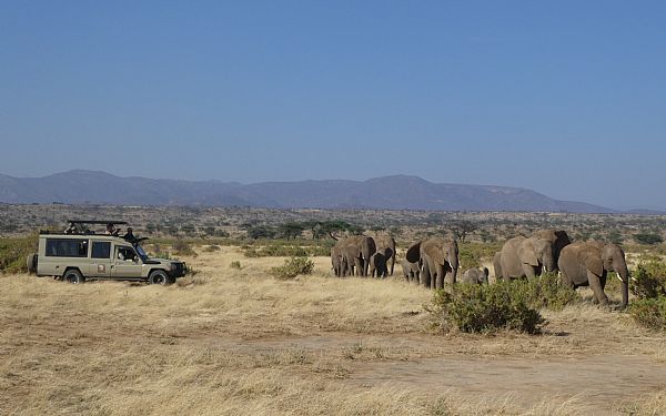 Fra rejsekonsulent Lisbeth p Big Cat Safari