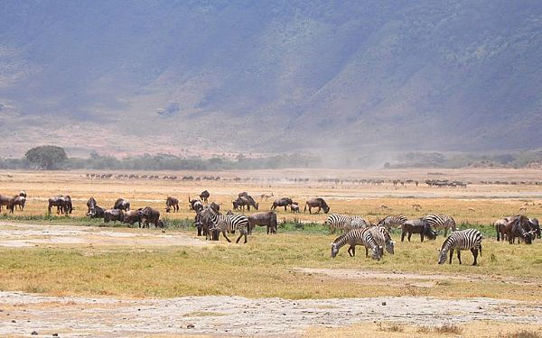 Fra rejseleder Carsten p Tanzanias Hjdepunkter 23.09.2018
