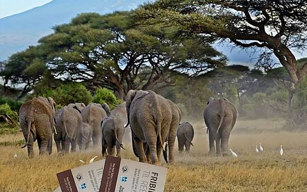 Og vinderen i vores Adventskalender 2018 er............