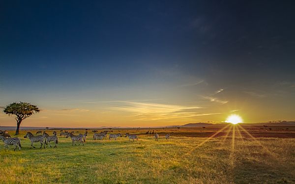Sdan fr du den bedste Afrika rejse til en god pris....