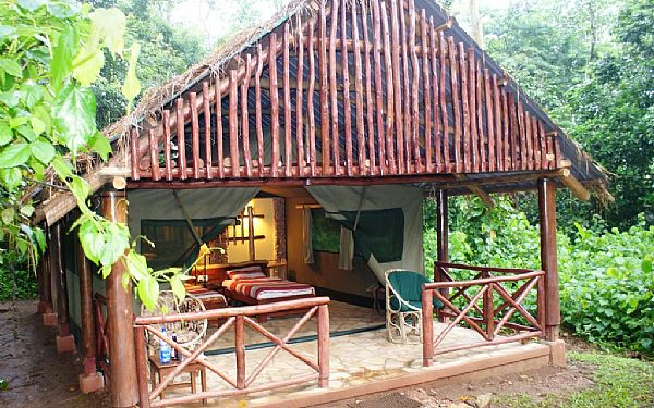 Kibale Forest Camp