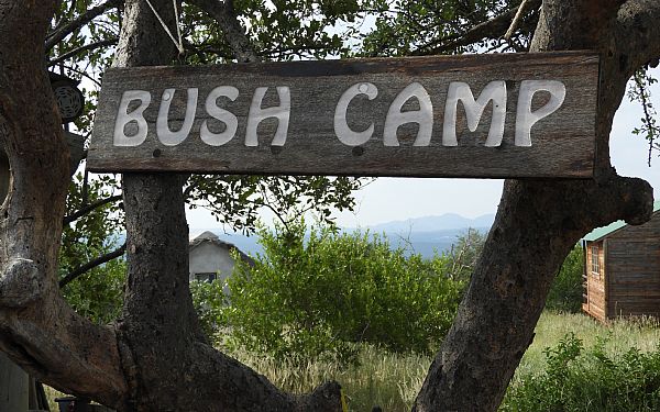 Elefantambassadr i Sydafrika (1)