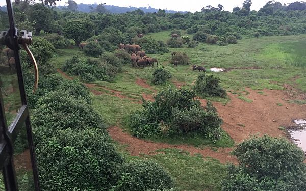 Fra rejseleder Anna p Kenya Drmme Safari 03.07.2019