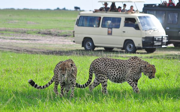 Fra rejseleder Carsten p Kenya Familie Safari 03.07.2019