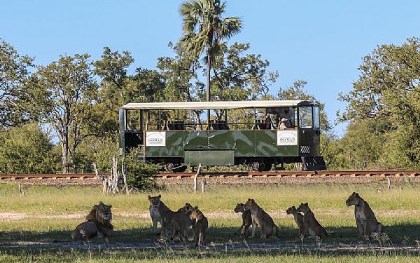 Togrejse med The Elephant Express