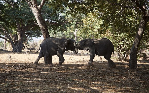 Jeg har ikke haft s god en sommerferie, som den her fr. Vi SKAL afsted igen.
