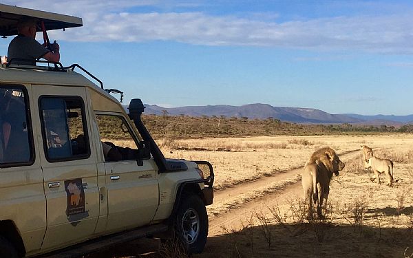 Fra rejseleder Anna p Big Cat Safari 28.09.2019