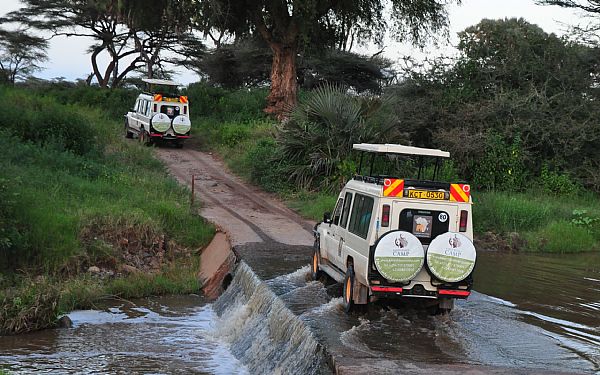 Fra rejseleder Carsten p Big Cat Safari 12.01.2020