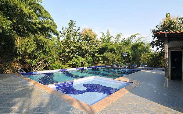 Celebration Van Vilas 