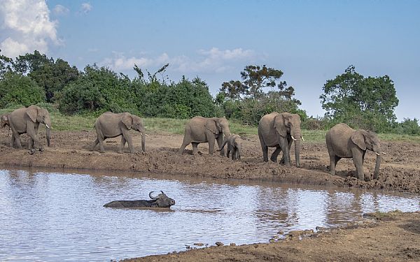 Fra rejseleder Kim p Kenya Drmme Safari 10.02.20
