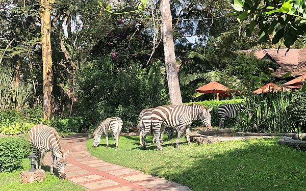 Fra rejseleder Anna p privat Kenya Familie Safari med familien Rosenkilde