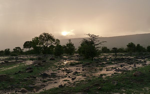 Fra rejseleder John med FOF Djursland til Kenya i Karen Blixens Fodspor 02.02.20