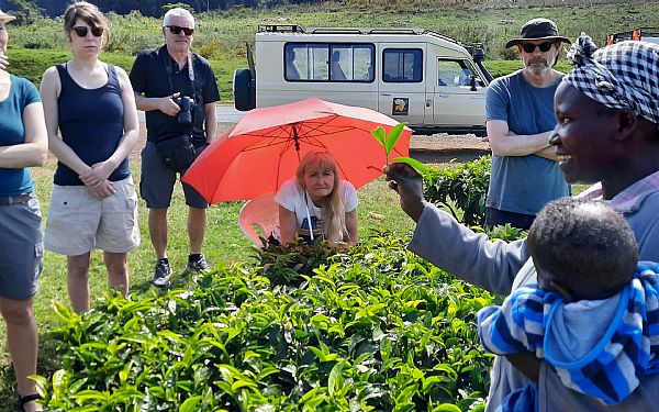 Fra rejseleder Carsten p Kenya Drmme Safari 16.02.2020