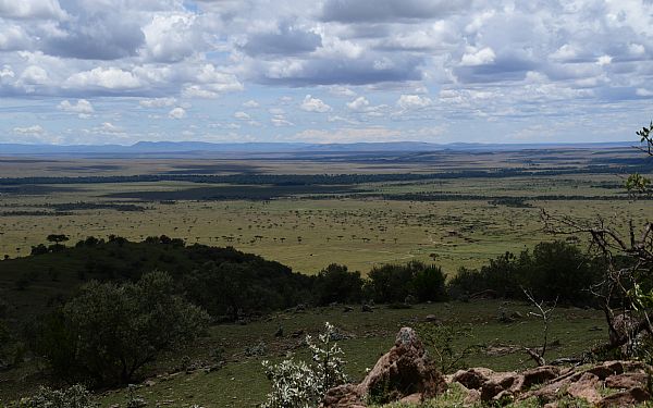 I Baronessens fodspor (3)