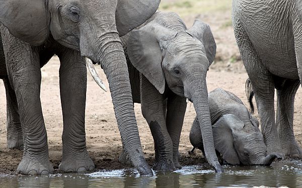 Alt begyndelse er svr 