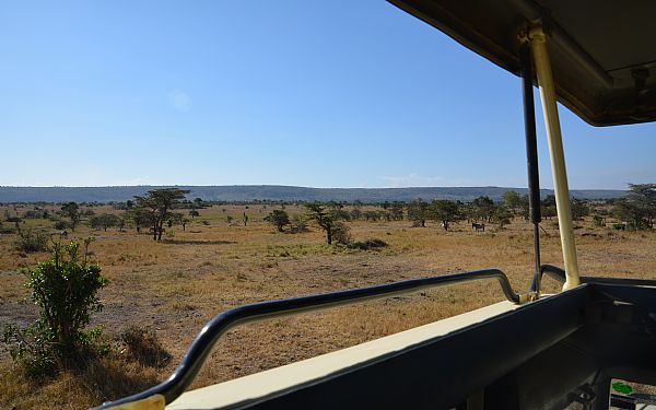 Har du et favoritdyr?