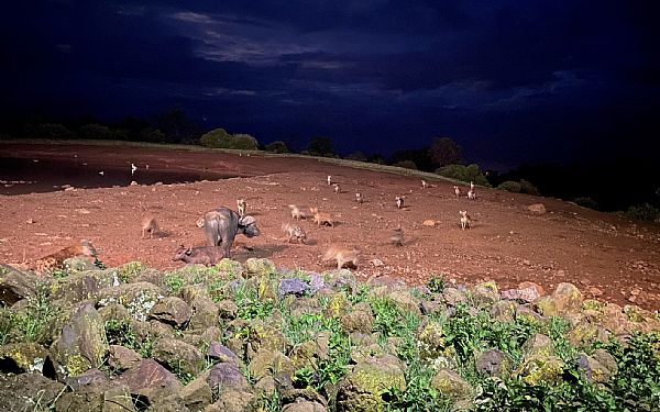 Fra rejseleder Anna p Kenya Familie Safari 16.01.22