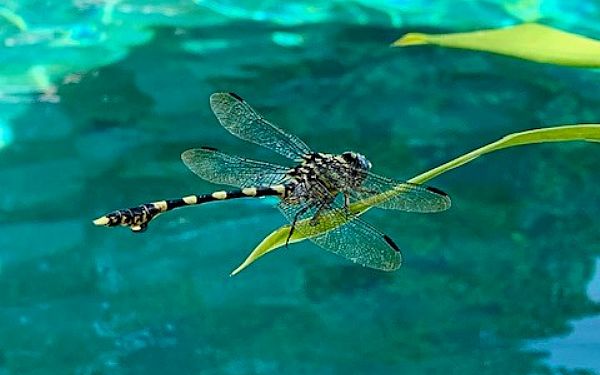 Mange tak for en dejlig tur vi altid vil huske ☀️