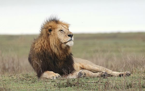 Fra rejseleder Jesper p Tanzanias Hjdepunkter 17.01.22
