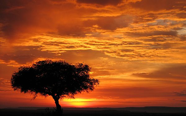 En safari er vel en safari?