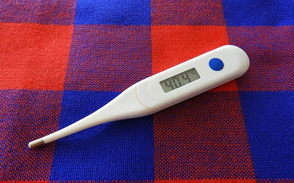 Den afrikanske feber