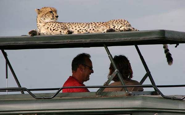 Tanzania safari & Zanzibar