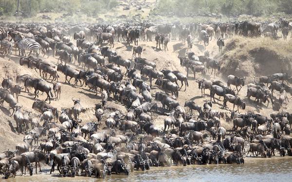 Elly og Leif Wrtz med Paw Gosmer i Kenya