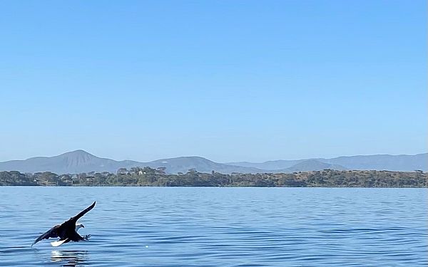 Fra rejseleder Anne Mason p Kenya Drmme Safari 15.1.2023